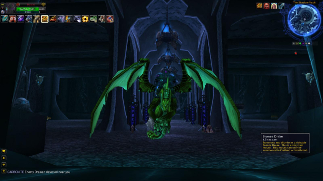 Bronze Drake