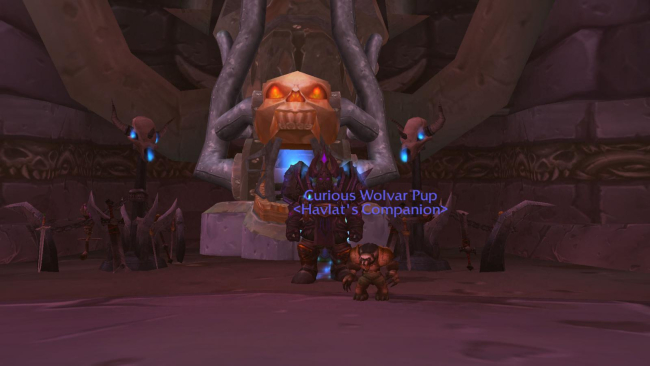 Curious Wolvar Pup