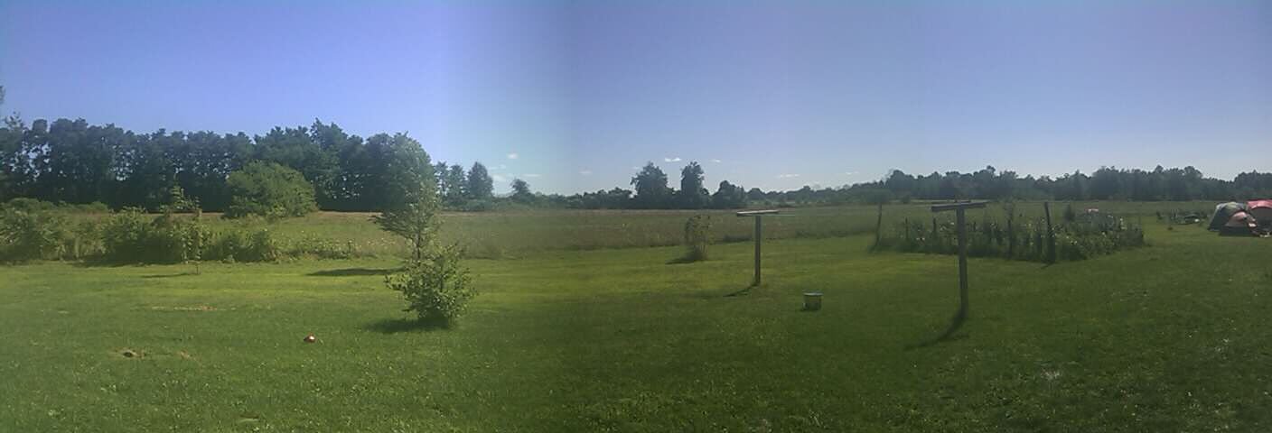 IMAG0063.jpg