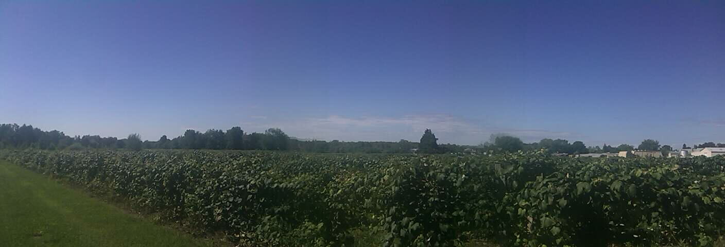 IMAG0064.jpg