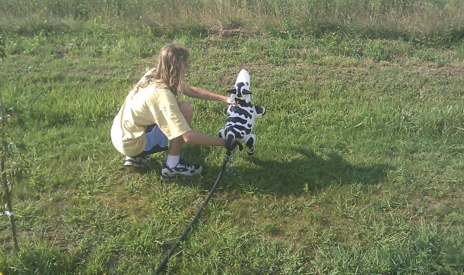 IMAG0074.jpg