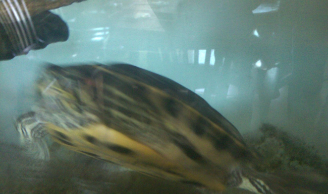 IMAG0069.jpg