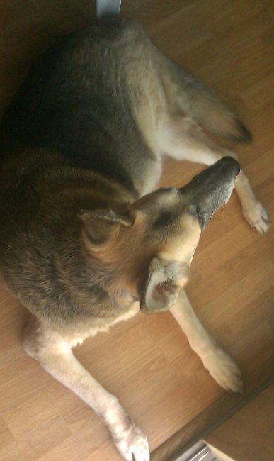 IMAG0071.jpg