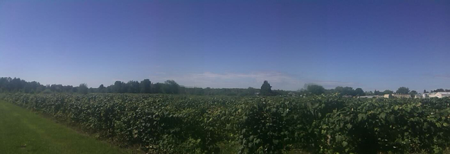 IMAG0064.jpg