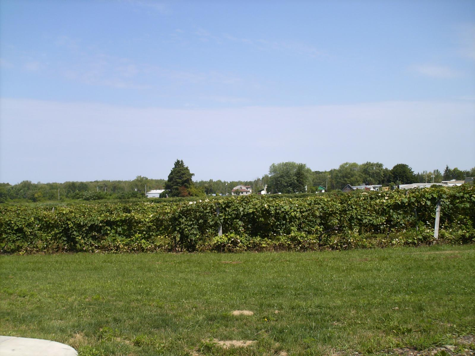 HPIM0979.JPG