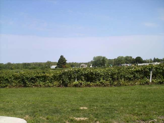 HPIM0979.JPG