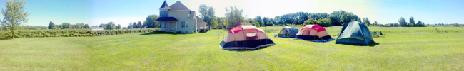 Panoramic Shot of Gumps Saturday Morning