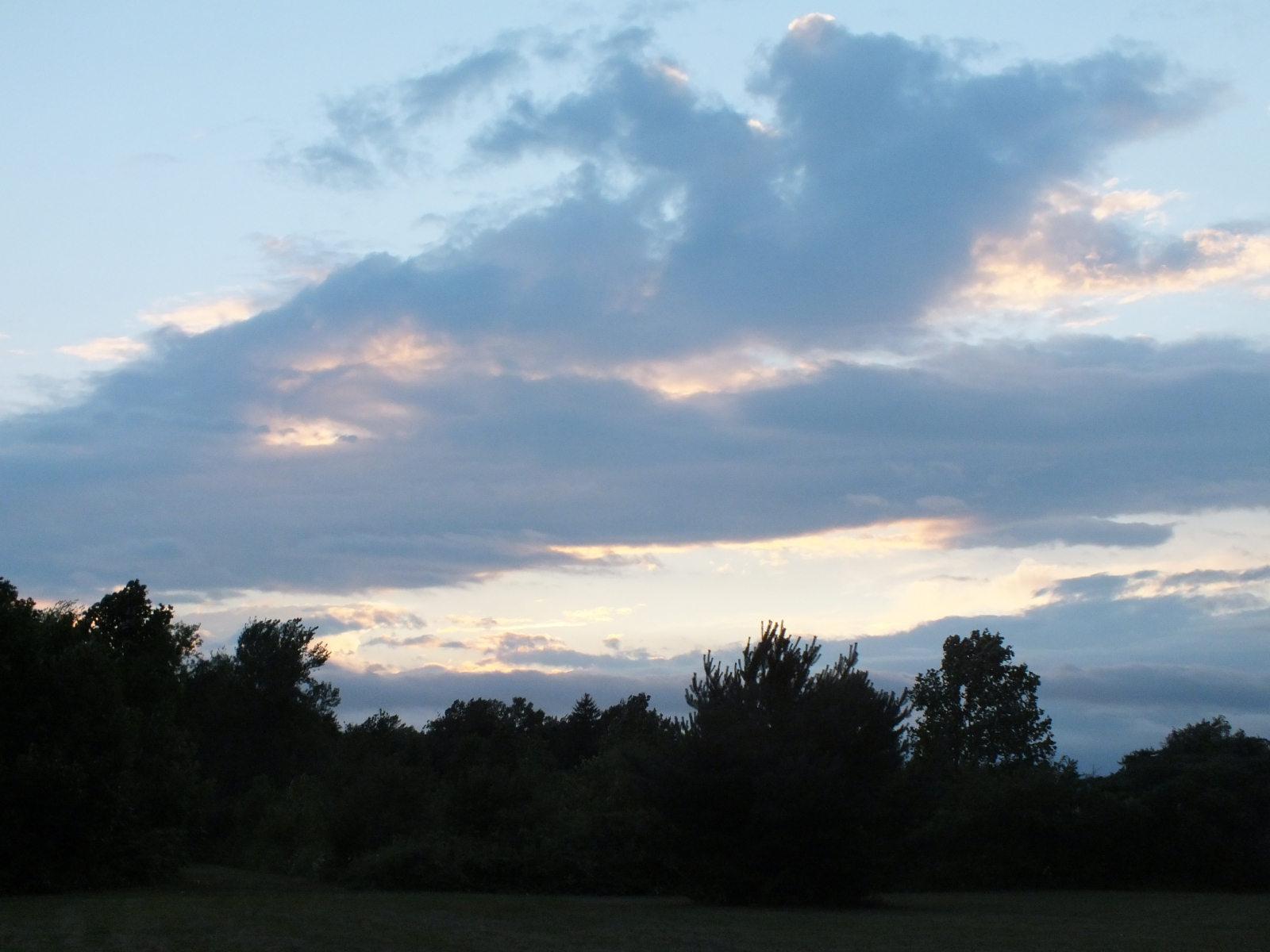 DSCF0837