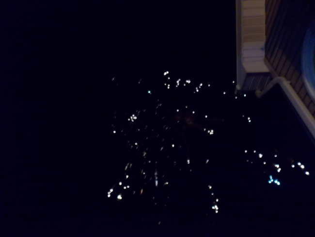 ATR Party 2014   528