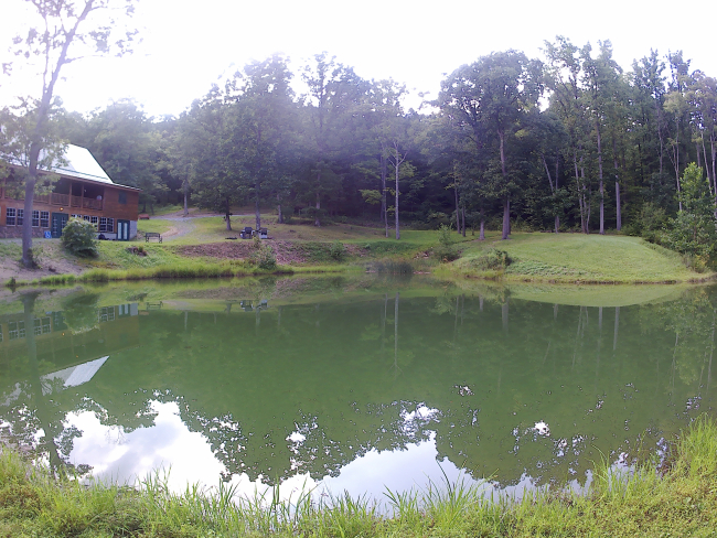 Pond