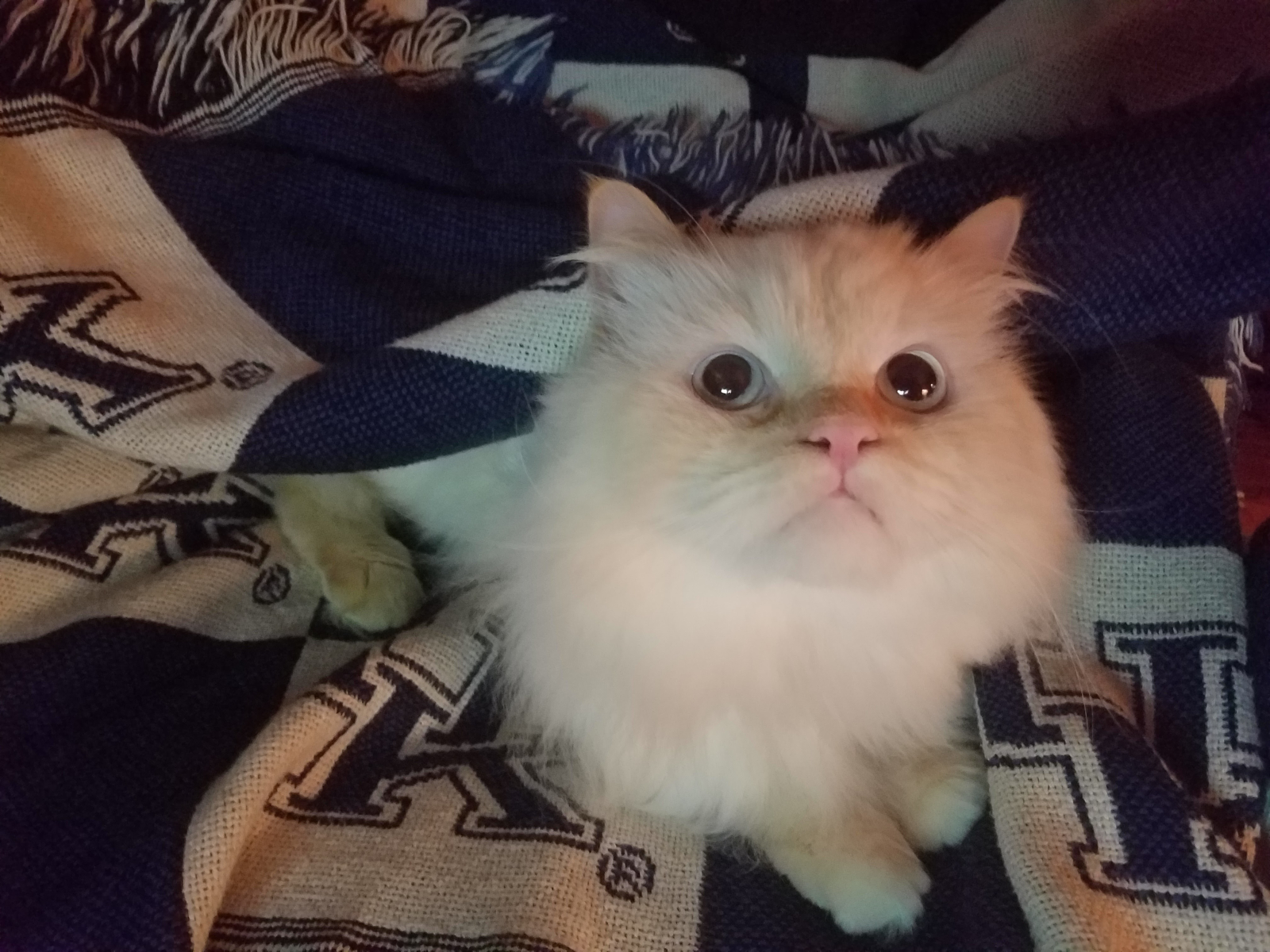 Your Soul Is Mine!